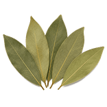 Five whole muted grey-green to olive dried bay leaves in a natural arrangement.