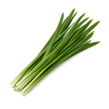 A small untied bundle of fresh garlic chives with flat leaves and intact pointed tips on a pure white background.
