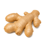 One whole uncut fresh ginger rhizome with light tan skin on a pure white background.